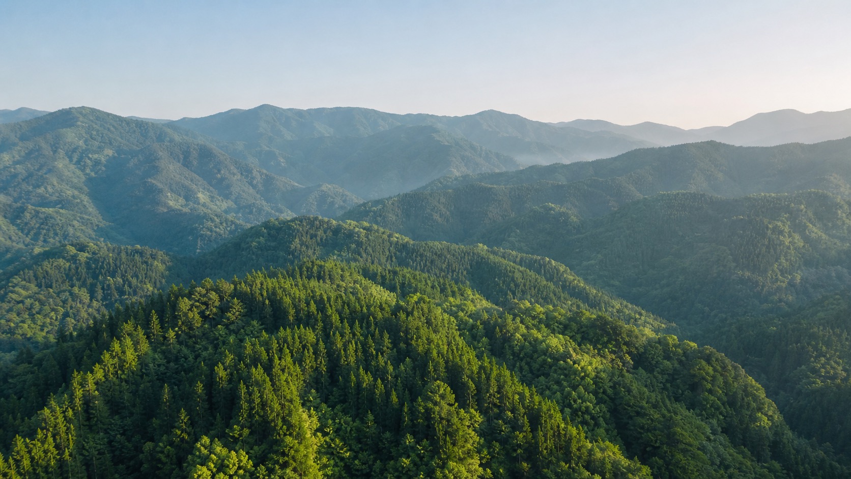緑深い山林の空撮